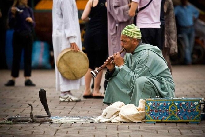1 Day Guided Tour in Marrakech from Agadir - Guides make the short Marrakech visit work