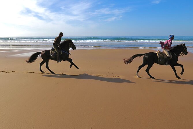 1 hour horse ride on the beach of essaouira - Should you book the Diabat beach ride?