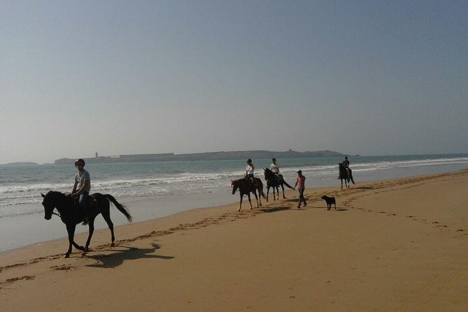 1 hour horse ride on the beach of essaouira - Riding beside Essaouira’s Atlantic shore