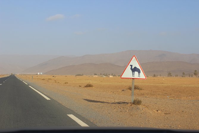 1 night in desert from Agadir - Sleeping in nomad-style tents