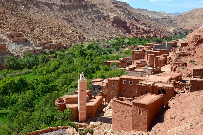 10 Day Desert Tour From Casablanca via the Imperial Cities - Day 4: A full day inside Fez’s old medina