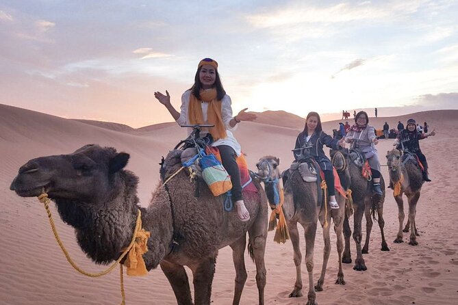 10 Days 9 Nights Luxury Tour of Morocco - Day 8: Marrakech with a local guide