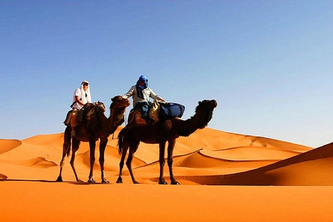 10 Days Tour From Casablanca, Morocco - The long road from Fes to Merzouga