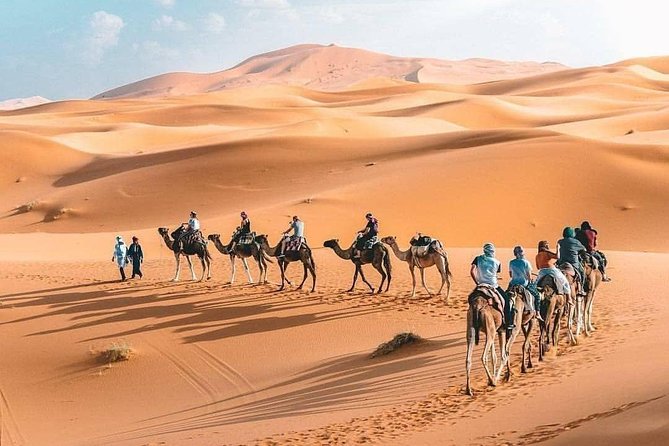 10D 9N Private Morocco Tour From Casablanca By Imperial Cities And South Desert - Day 5: Cedar forests, the Ziz Valley, and the Sahara camp