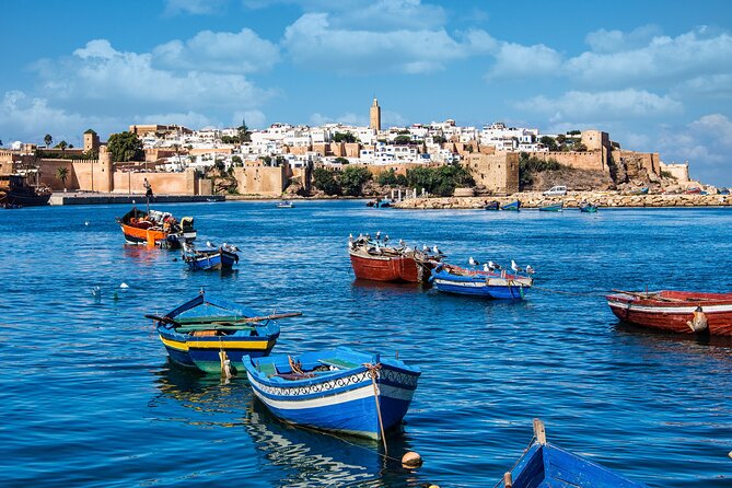 10D 9N Private Morocco Tour From Casablanca By Imperial Cities And South Desert - Day 7: Rissani, fossils, Todra Gorge, and Dades Valley