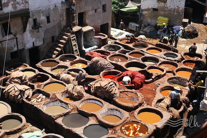 12 Days From Casablanca- Cultural Immersion Tour - Day 8: From Merzouga to the Todra and Dades Gorges