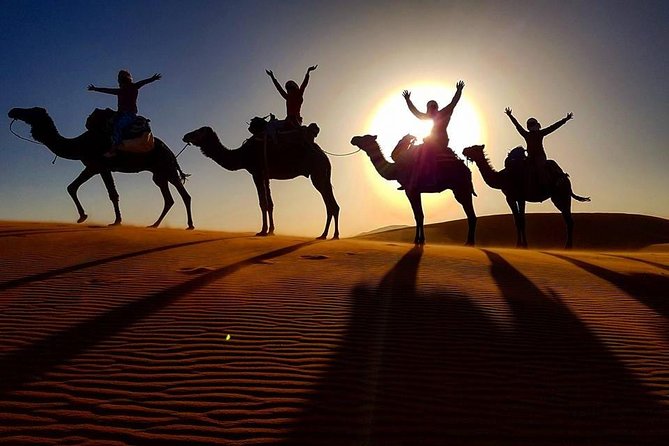 12 Days From Casablanca- Cultural Immersion Tour - Day 1: Casablanca to Rabat, an easy start