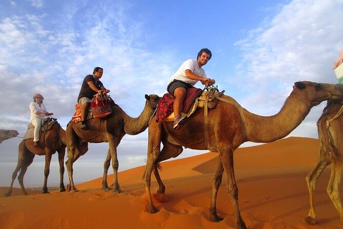 12 Days Private Luxury Sightseeing Tour in Morocco - Why this route gives you a broad taste of Morocco