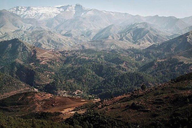 12 Days Private Luxury Sightseeing Tour in Morocco - Day 4: Cedar forests and the Middle Atlas