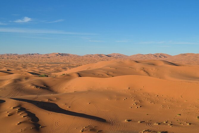 12 Days Private Luxury Sightseeing Tour in Morocco - Day 1: Casablanca and the Hassan II Mosque