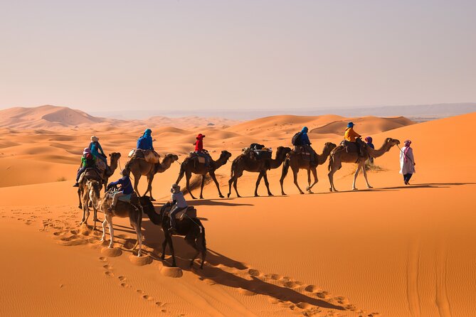15 Days Morocco Private Grand Tour From North To South Starting From Casablanca - The long road to Erg Chebbi rewards patience