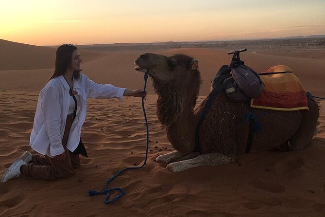 2 Day Luxury Desert Tour from Fes to Fes or Marrakech - Midelt lunch and the road toward the Sahara