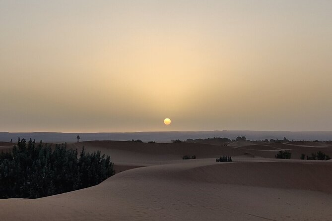 2 Day Luxury Desert Tour from Fes to Fes or Marrakech - Camel trekking into Erg Chebbi