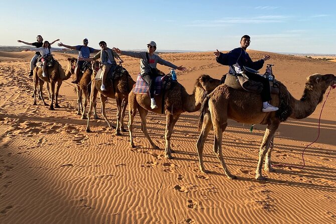 2 Day Luxury Desert Tour from Fes to Fes or Marrakech - Barbary Macaques in the Cedar Forest