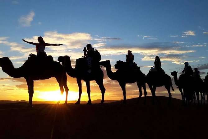 2-Day Zagora Desert Tour from Marrakech - High Atlas views and the first hours on the road