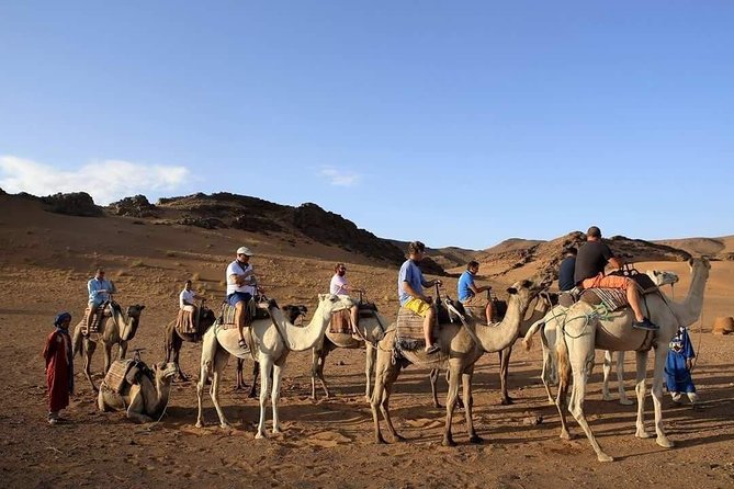 2-Day Zagora Tour from Marrakech Including the Atlas Mountains, Camel Trek and Desert Camp - Crossing the High Atlas from Marrakech