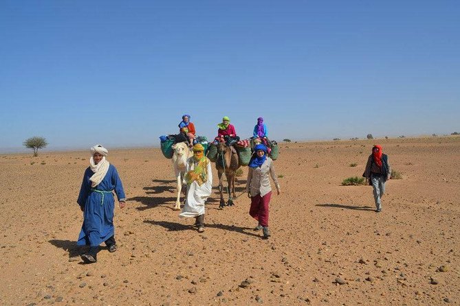 2 Days 1 Night To Zagora Desert From Marrakech - From the Anti-Atlas to the Draa Valley