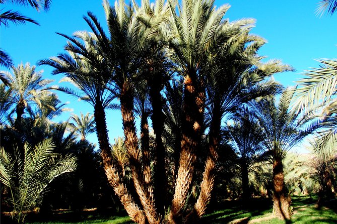 2 Days 1 Night To Zagora Desert From Marrakech - Sunrise, Ouarzazate, and the road home