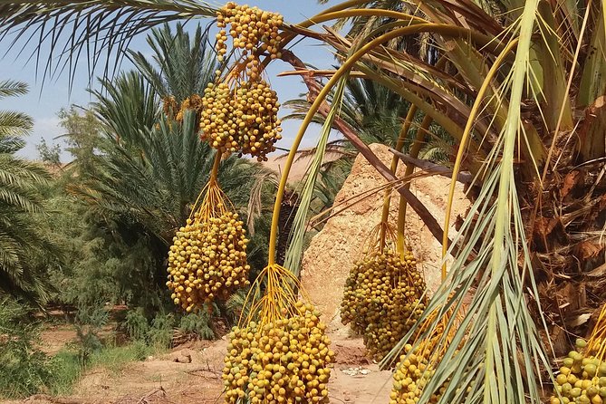2 Days 1 Night To Zagora Desert From Marrakech - What $98.72 really buys you