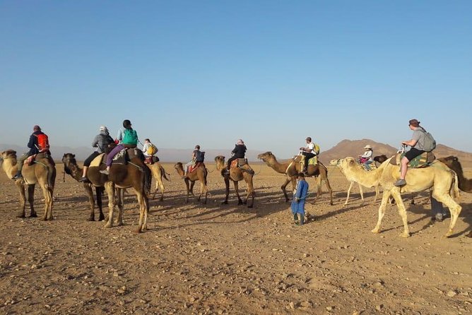 2 Days 1 Night To Zagora Desert From Marrakech - Should you book it?