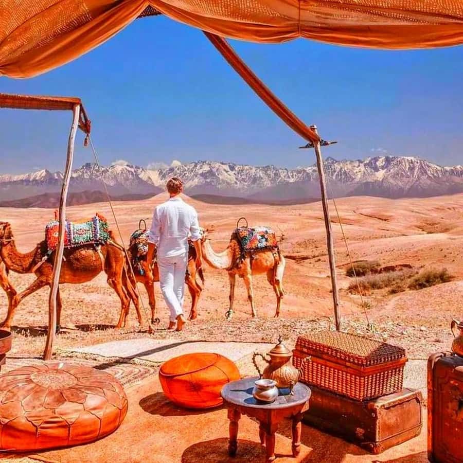 2 Days Desert Agafay and Atlas Mountains Trek From Marrakech - Languages, group size, and booking value