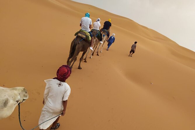 2-Days Desert Tours from Fes with Overnight in Luxury Camp - Day one: from Fes through the Middle Atlas