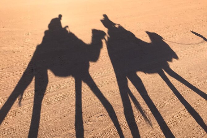 2-Days Desert Tours from Fes with Overnight in Luxury Camp - Errachidia and the palm oasis