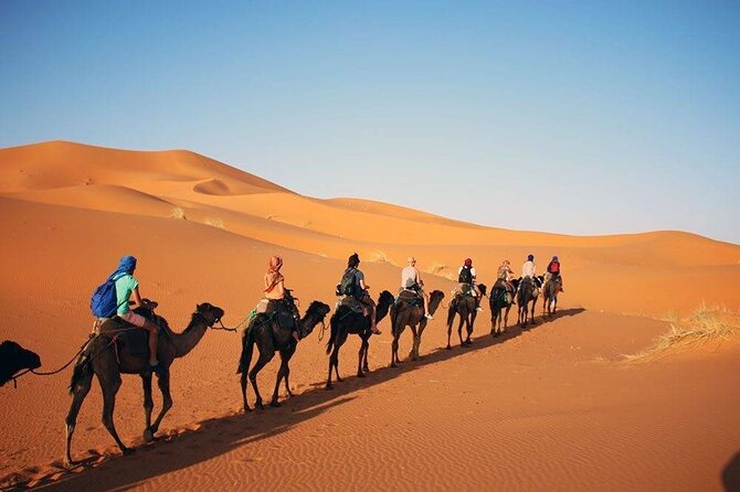 2 Days Desert Trip Back To Fes/ Or Marrakech - The driver and group experience