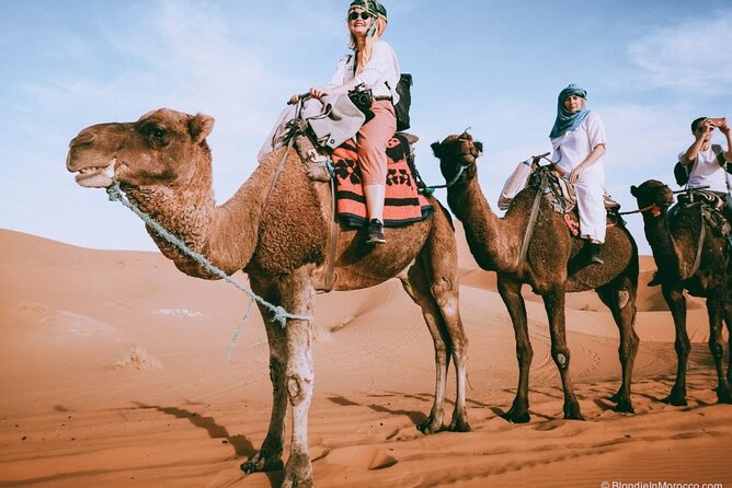 2 days luxury desert trip [fes to fes or marakech] - What this two-day Sahara trip really offers