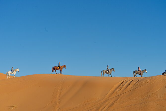 2 days Sahara tour with overnight in luxury desert camp - Ifran and the Azrou cedar forest