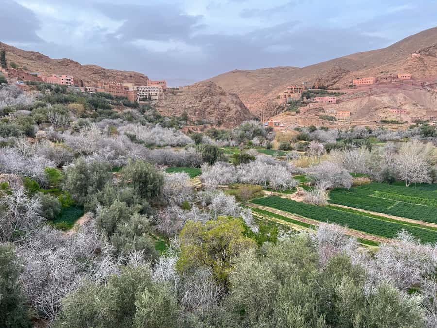2 Days Trip From Marrakech To Ouarzazate & Dades Valley - What the private guide adds