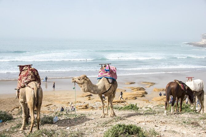 2 Hours Activity Surfing lessons in Taghazout - Starting in Taghazout village