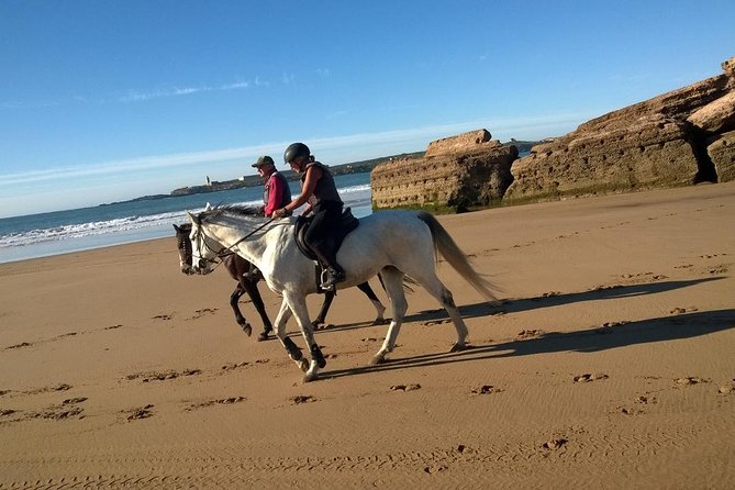 2 hours horse ride beach and dunes in Essaouira Morocco - Who Will Enjoy This Ride Most?