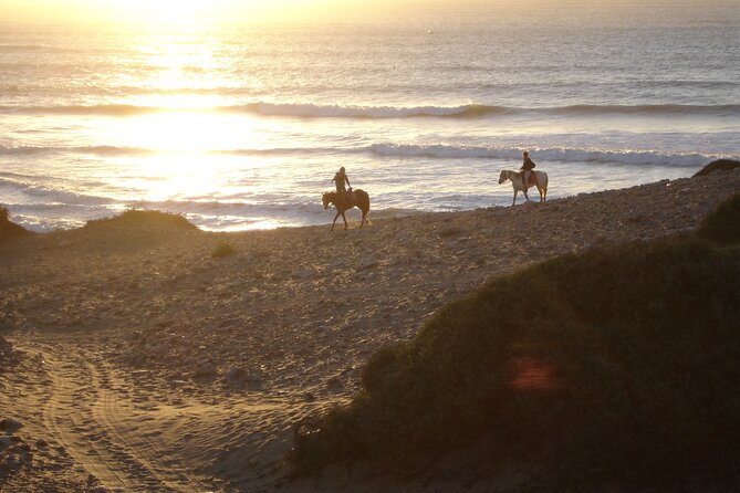 2 hours horse ride beach and dunes in Essaouira Morocco - Through Eucalyptus and Mimosa Forest
