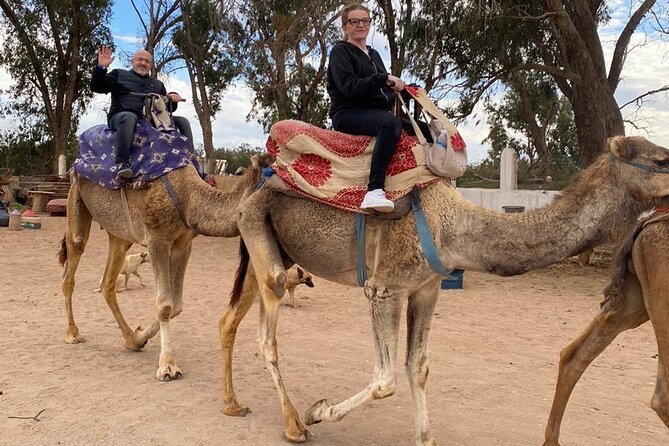 2 Hours Private Camel Ride in Agadir - A camel ride with more scenery than spectacle