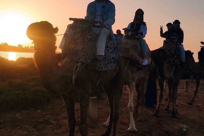 2 Hours Private Camel Ride in Agadir - Meeting the camels and getting settled