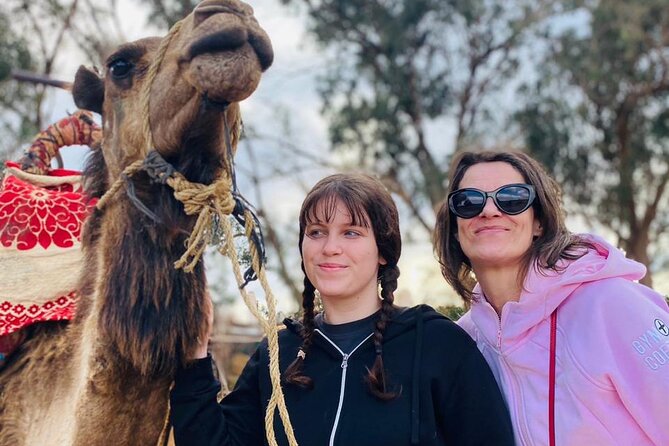 2 Hours Private Camel Ride in Agadir - Through the eucalyptus trees toward the river