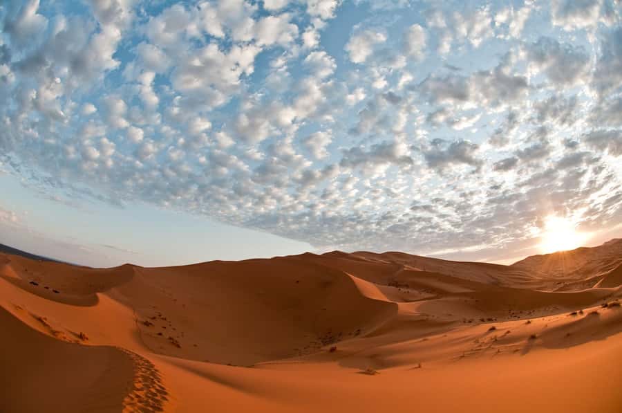 2Days Desert Tour From Fez: Round-Trip with Luxury Camp stay - Arriving at Erg Chebbi by camel