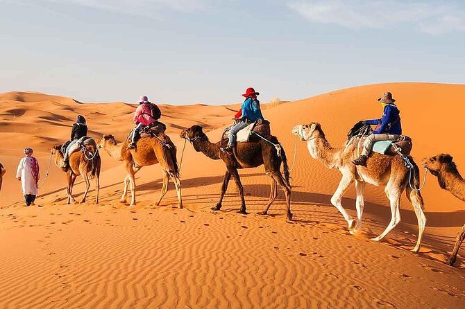 2Days Share Tour From Fes To Marrakech Or Fes Via Sahara & camel - The camel ride and your night in the dunes