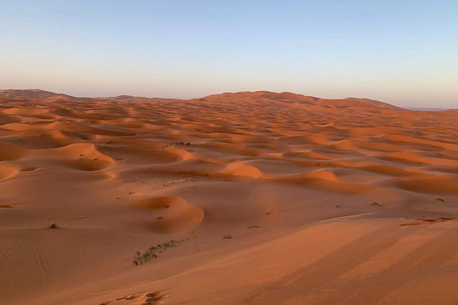 3-Day Desert Tour to Fez: Ouarzazate and Berber Village from Marrakech - Camelback into Erg Chebbi at sunset