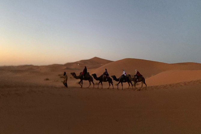 3-Day Desert Tour to Fez: Ouarzazate and Berber Village from Marrakech - The Road of 1,000 Kasbahs and Todgha Gorge
