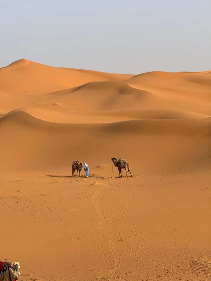 3-Day luxury Adventure: Marrakech to Merzouga incl.Quad/show - Day 1: High Atlas passes and Ait Ben Haddou