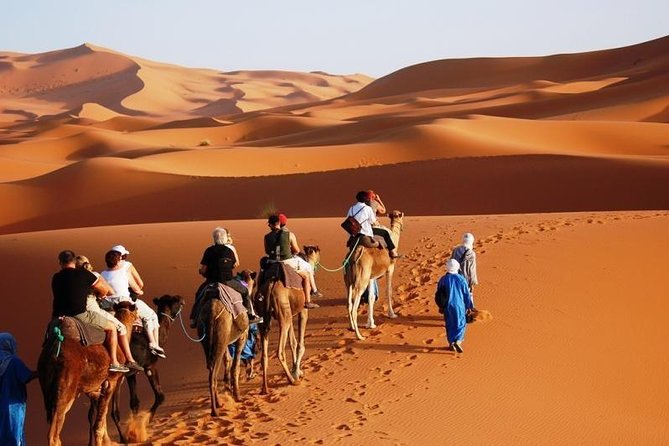 3-Day Marrakech to Fes Sahara Desert Tour via Merzouga - Meals, Money, and What to Pack