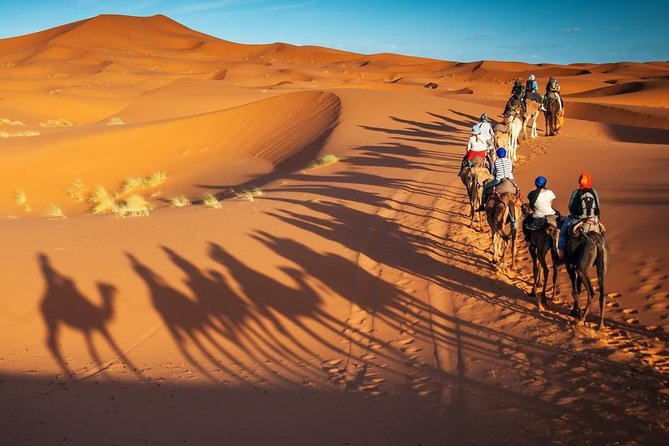 3-Day Marrakech to Fes Sahara Desert Tour via Merzouga - Should You Book the Marrakech to Fes Sahara Tour?