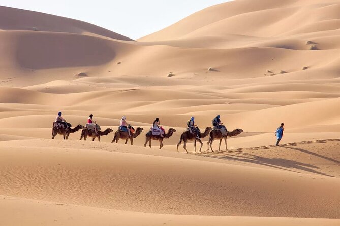 3-Day Sahara Adventure: Marrakech to Fez via Merzouga - Day one: Tizi n Tichka and Ait Ben Haddou