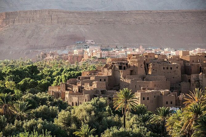 3-Day Sahara Adventure: Marrakech to Fez via Merzouga - Day three: sunrise, cedar forests, and Fez
