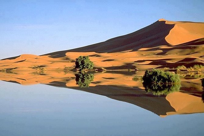 3 Days 2 Nights Adventure from Marrakech to Fez via Desert - Rissani market before the desert