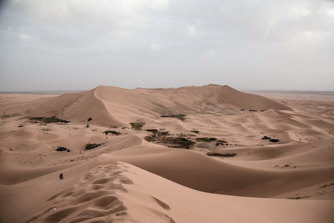 3 Days 2 Nights Desert Tour from Fes to Marrakech via erg Chebbi - Comfort, pace, and fitness