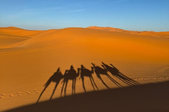 3 Days 2 Nights Desert Tour from Fes to Marrakech via Merzouga - The driver can shape the whole experience