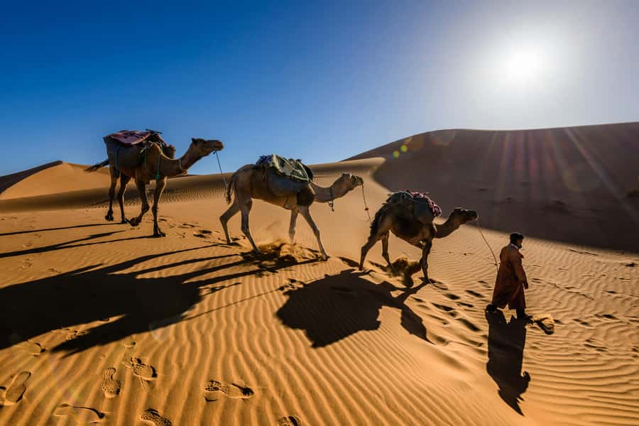 3 Days - 2 Nights Desert Tour From Marrakech with Camel Ride - Day three through Rissani and the Draa Valley